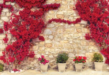 Red Flowers Old Stone Wall(3581WM) - Image 2