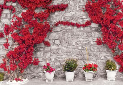Red Flowers Old Stone Wall(3582WM) - Image 2