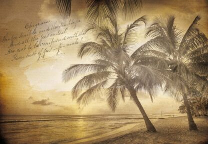 Beach Palms Sepia Vintage Script(3588WM) - Image 2