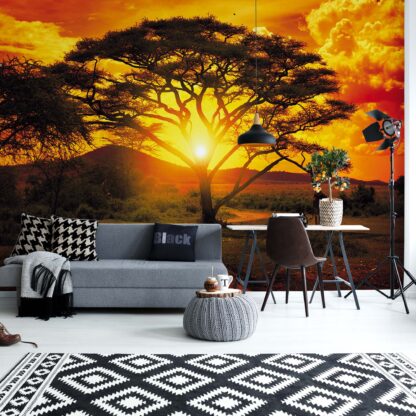 Sunset Africa Nature Tree(400WM)