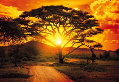 Sunset Africa Nature Tree(400WM) - Image 2