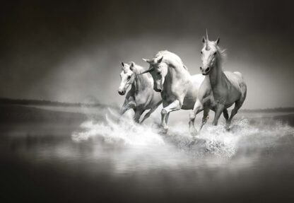 Unicorns Horses Black And White(428WM) - Image 2