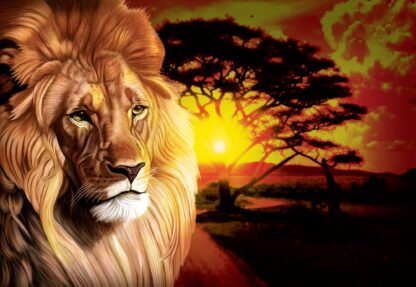 Lion Sunset Africa Animals(433WM) - Image 2