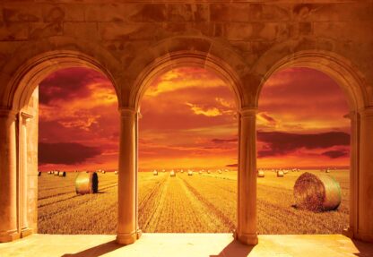 Countryside Field View Through Stone Arches(437WM) - Image 2