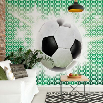 3D Football(477WM)