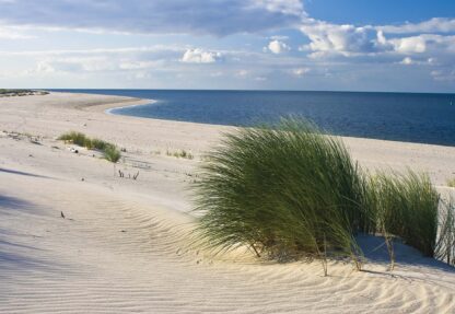 Sylt Beach Sea Sand Coastal(655WM) - Image 2