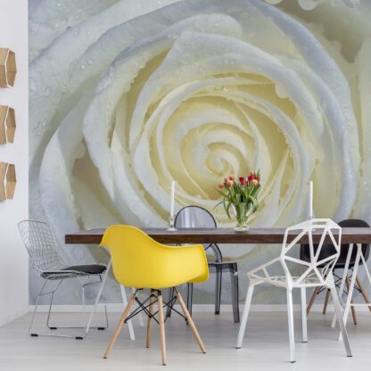 Rose Flower White(663WM)