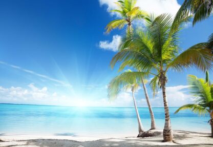 Tropical Beach Palm Trees Sea Sand(735WM)