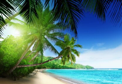 Paradise Tropical Beach Sea Sand(736WM) - Image 2