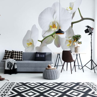 Flowers White Orchids(737WM) (416X254cm XXXL)