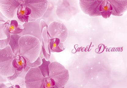 Flowers Orchids Pink "Sweet Dreams"(778WM) - Image 2