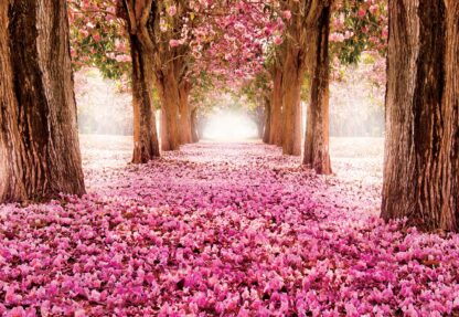 Flowers Blossom Trees Forest Nature(851WM) - Image 2