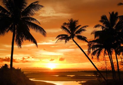 Beach Tropical Sunset Palms(888WM) - Image 2