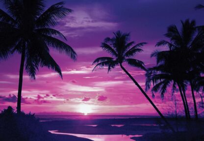 Beach Tropical Sunset Purple Palms(889WM) - Image 2