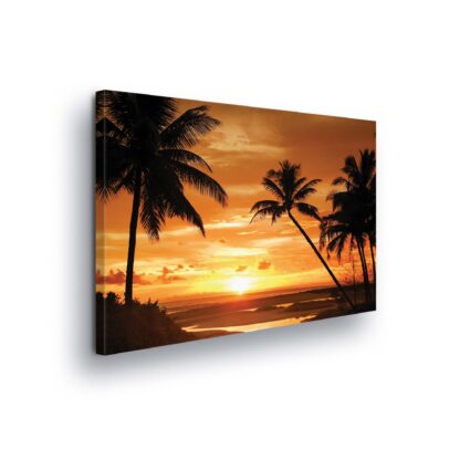 Tropical (1002CV)