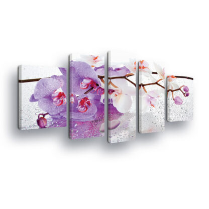 Flowers (1005CV)