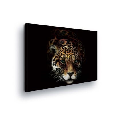 Animals and Living (10071CV)