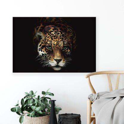 Animals and Living (10071CV) - Image 5