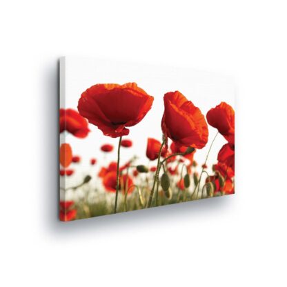 Flowers (10084CV)