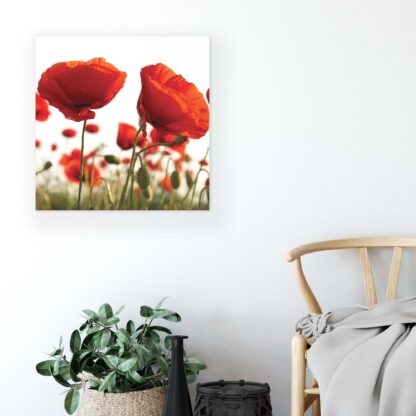 Flowers (10084CV) - Image 6