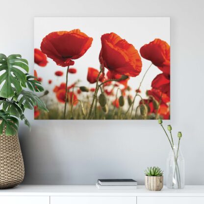 Flowers (10084CV) - Image 7