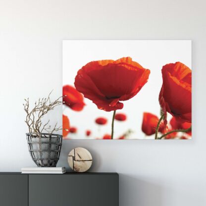 Flowers (10084CV) - Image 8