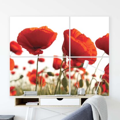 Flowers (10084CV) - Image 9
