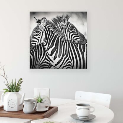 Animals and Living (10092CV) - Image 3