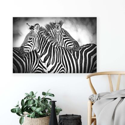 Animals and Living (10092CV) - Image 5