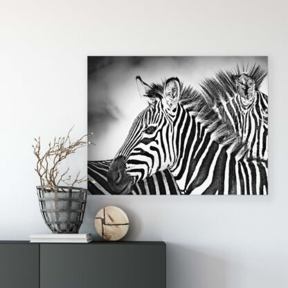 Animals and Living (10092CV) - Image 8
