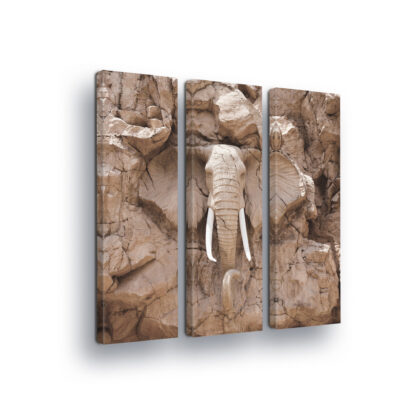 Animals and Living (10115CV)