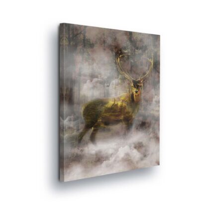 Animals and Living (10145CV)