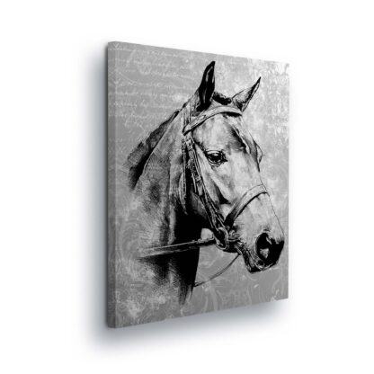 Horses and Unicorns (10146CV)