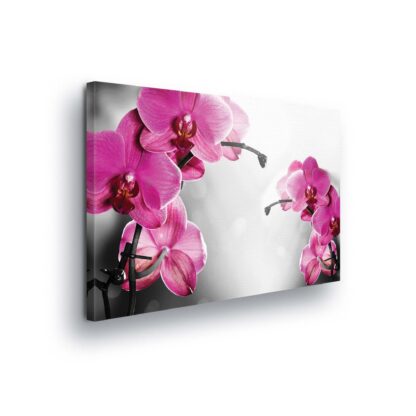 Flowers (10155CV)