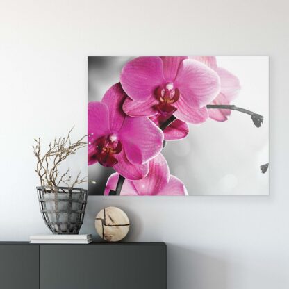 Flowers (10155CV) - Image 8