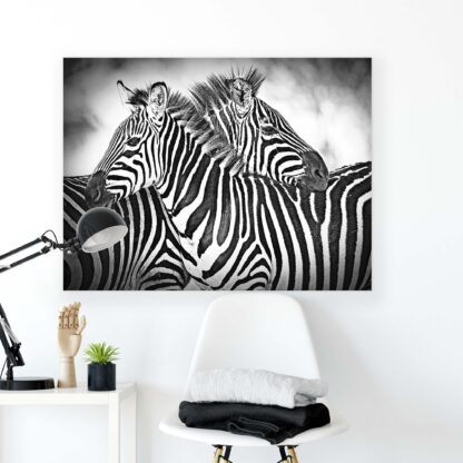 Animals and Living (10159CV) - Image 2