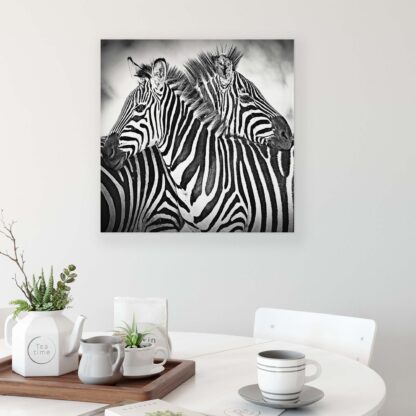 Animals and Living (10159CV) - Image 3