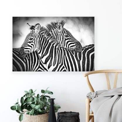 Animals and Living (10159CV) - Image 4
