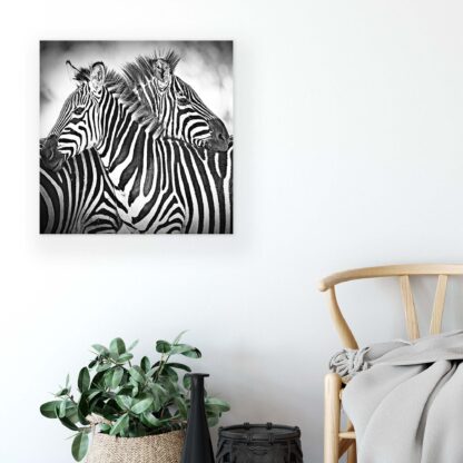 Animals and Living (10159CV) - Image 5