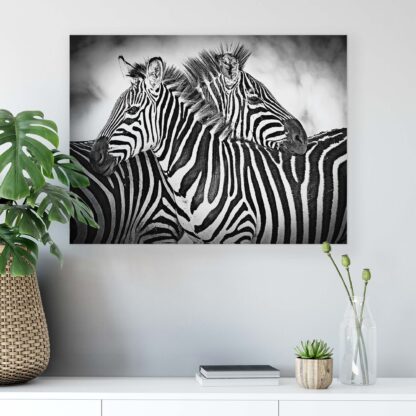 Animals and Living (10159CV) - Image 6