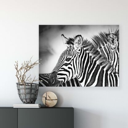 Animals and Living (10159CV) - Image 7