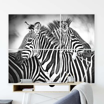 Animals and Living (10159CV) - Image 8