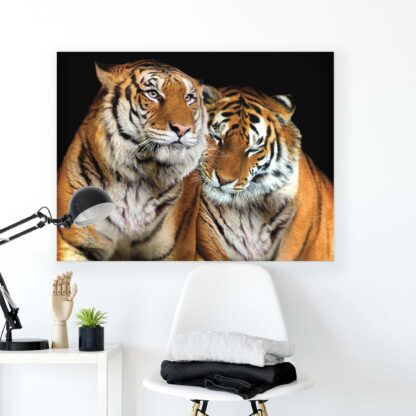 Animals and Living (10173CV) - Image 2