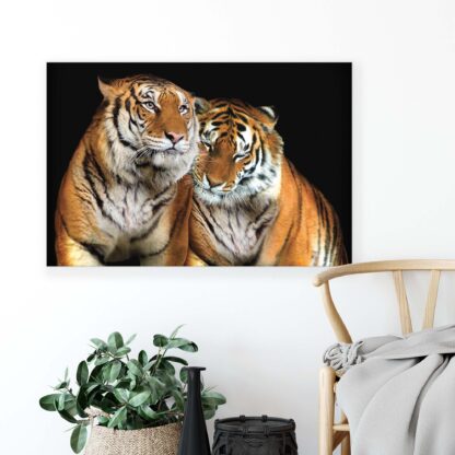 Animals and Living (10173CV) - Image 4