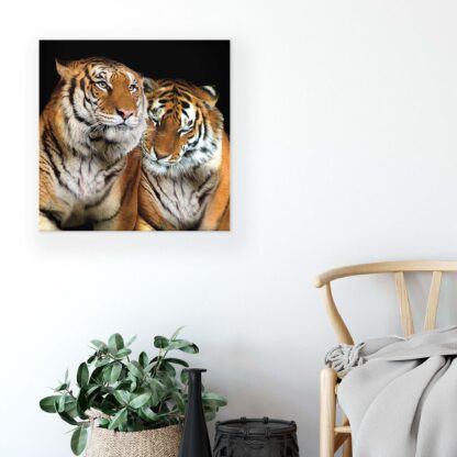 Animals and Living (10173CV) - Image 5