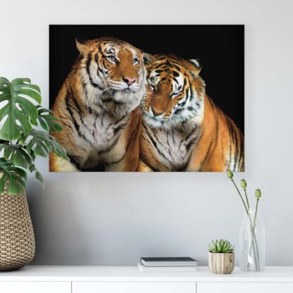 Animals and Living (10173CV) - Image 6