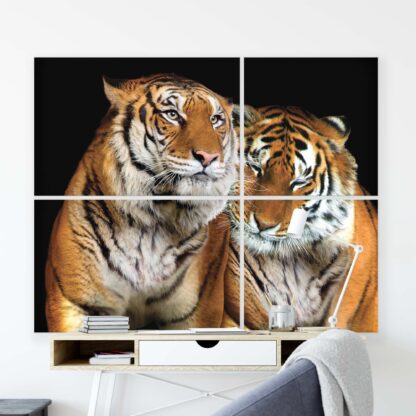 Animals and Living (10173CV) - Image 8