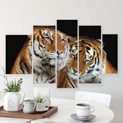 Animals and Living (10173CV) - Image 9