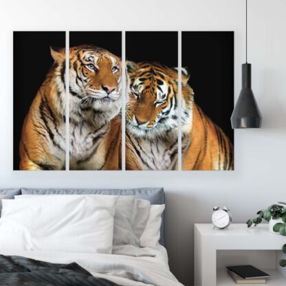 Animals and Living (10173CV) - Image 10