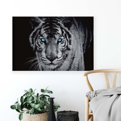 Animals and Living (10202CV) - Image 4